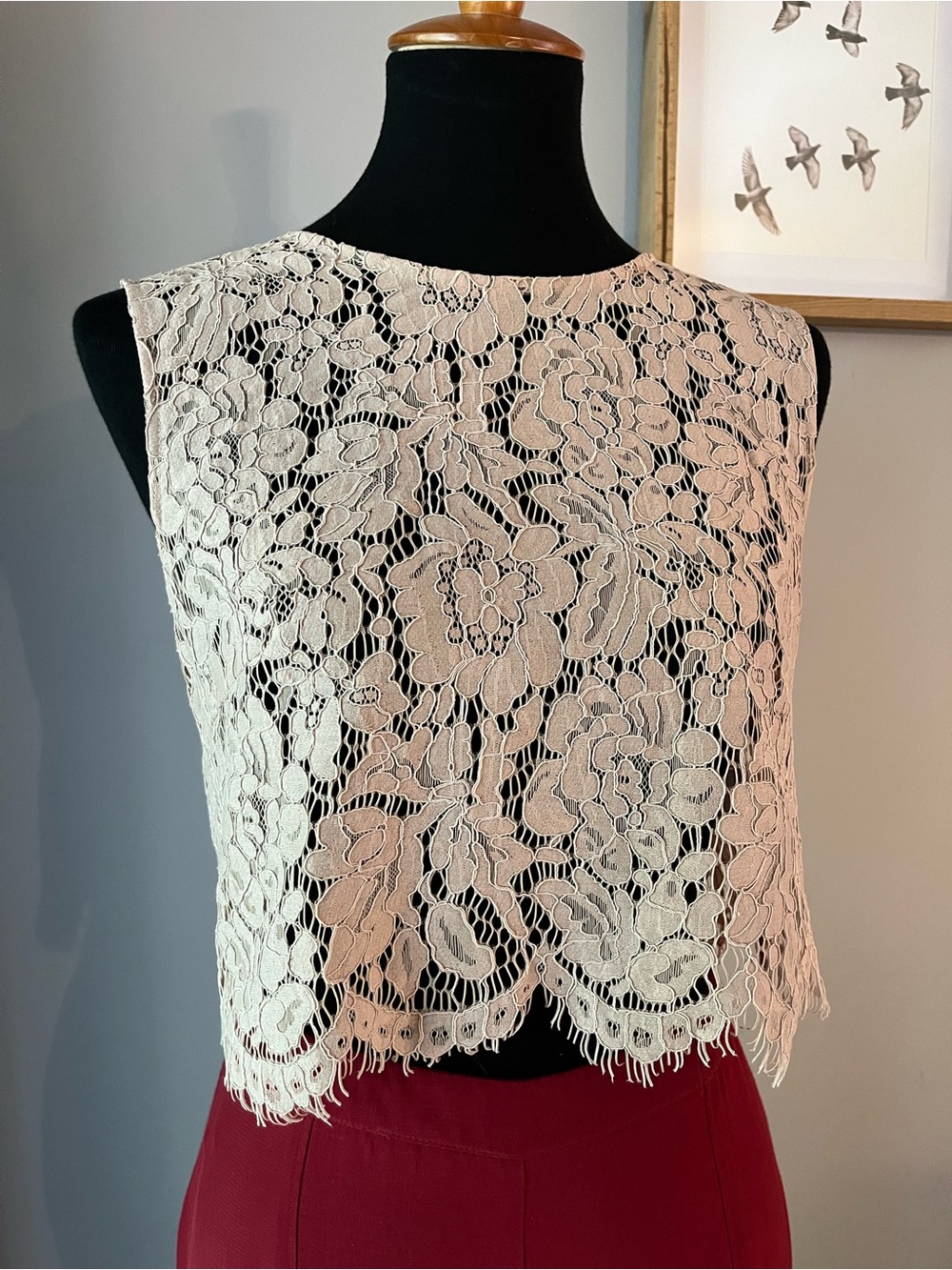 Jenny Yoo BHLDN Taupe Floral Lace Cropped Shell Top